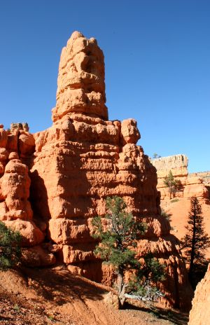 Red Canyon, near Bryce Canyon, UT