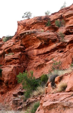Grand Staircase - Escalante National Monument, Utah