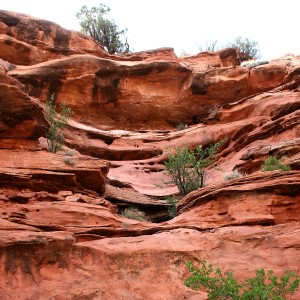 Grand Staircase - Escalante National Monument