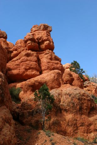 Red Canyon, UT