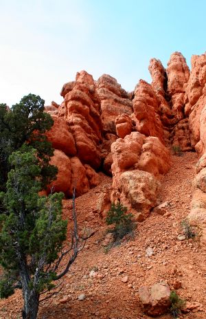 Red Canyon, UT