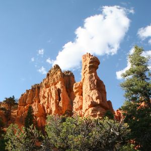 Red Canyon, UT