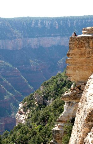 Overlooking the Grand Canyon from the North Rim