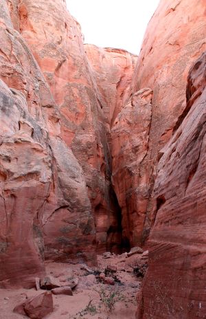 Canyon near Page, AZ