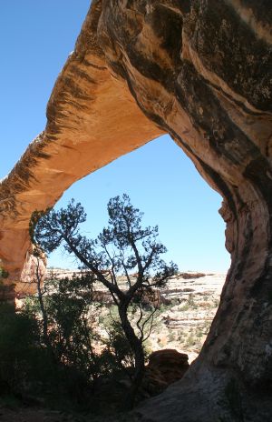 Owachomo Bridge, Natural Bridges National Monument