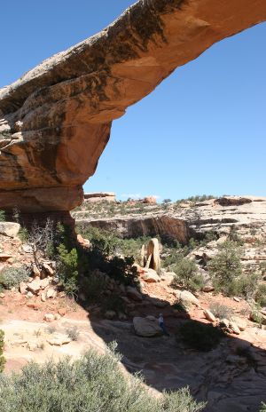 Owachomo Bridge, Natural Bridges National Monument