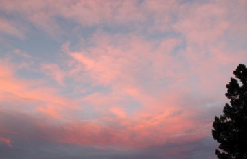 Pink Clouds