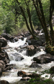 Mountain Stream