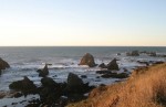 Sonoma Coast
