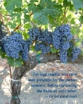 Red Grape Vine with Quote
