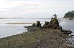 Siletz Bay Island at Low Tide