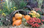 Harvest Arrangement