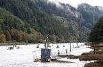 Fishing Boats on Alsea River