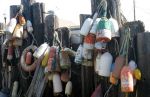 Fishing Floats hanging on Old Dock Piers