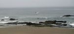 Rocky Oregon Coast