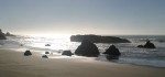 Oregon Coast Rocks