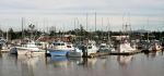 Moss Landing Marina