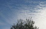 Cirrus Clouds
