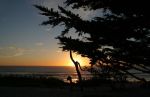 Monterey Sunset and Cypress Trees