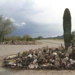 Cactus and Rock Garden