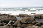 Rocky Oregon Coast