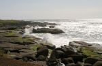 Rocky Oregon Coast