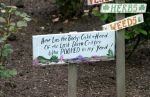 Funny Signs