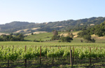 Alexander Valley, Sonoma County, CA