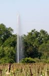 Geysers