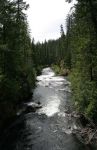 Rogue River