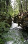 Rogue River Gorge