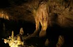 Mammoth Cave National Park