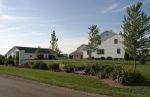 Amish Farms