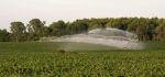 Overhead Center Pivot Sprinklers