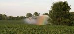 Overhead Center Pivot Sprinklers with Rainbow
