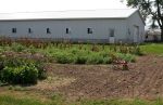 Amish Farm and Garden