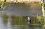 Fishermen in Yellowstone River