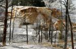 Mammoth Hot Springs, Yellowstone