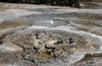Geyser, Yellowstone National Park