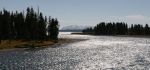 Yellowstone River from Fishing Bridge, Yellowstone National Park