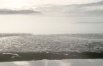 Foggy Alsea Bay at Low Tide, Waldport, OR