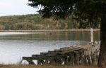 Old Dock on Alsea River, Waldport, OR