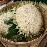 Sunflowers at Market in Eugene