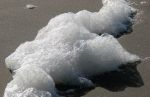 Other Natural Art