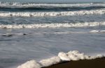 Waves and Sea Foam  on the Beach