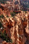 Rainbow Point, Bryce Canyon National Park, UT