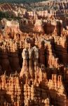 Hoodoos at Bryce Point, Bryce Canyon National Park, UT
