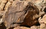 Petroglyphs