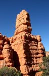 Red Canyon, near Bryce Canyon, UT
