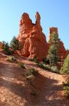 Red Canyon, near Bryce Canyon, UT